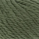 Spirulina 1000.0118